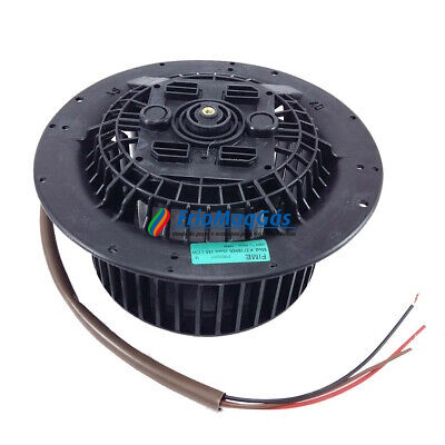 Motor Exaustor  (Rotação p/ esq. 06kk0030)